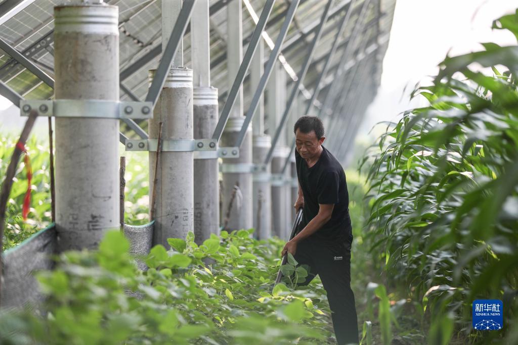 手机验证自助体验金
