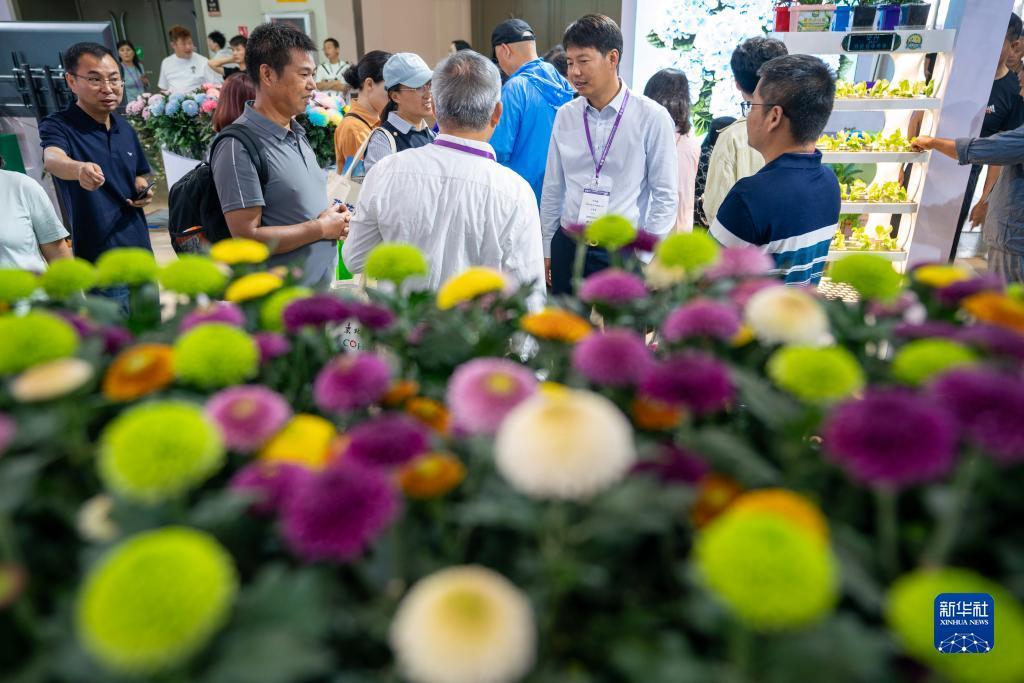 葡萄游戏厅电脑